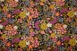 Preview: Designer- Baumwollstoff Ruby Star Society Koi Pond (10 cm)